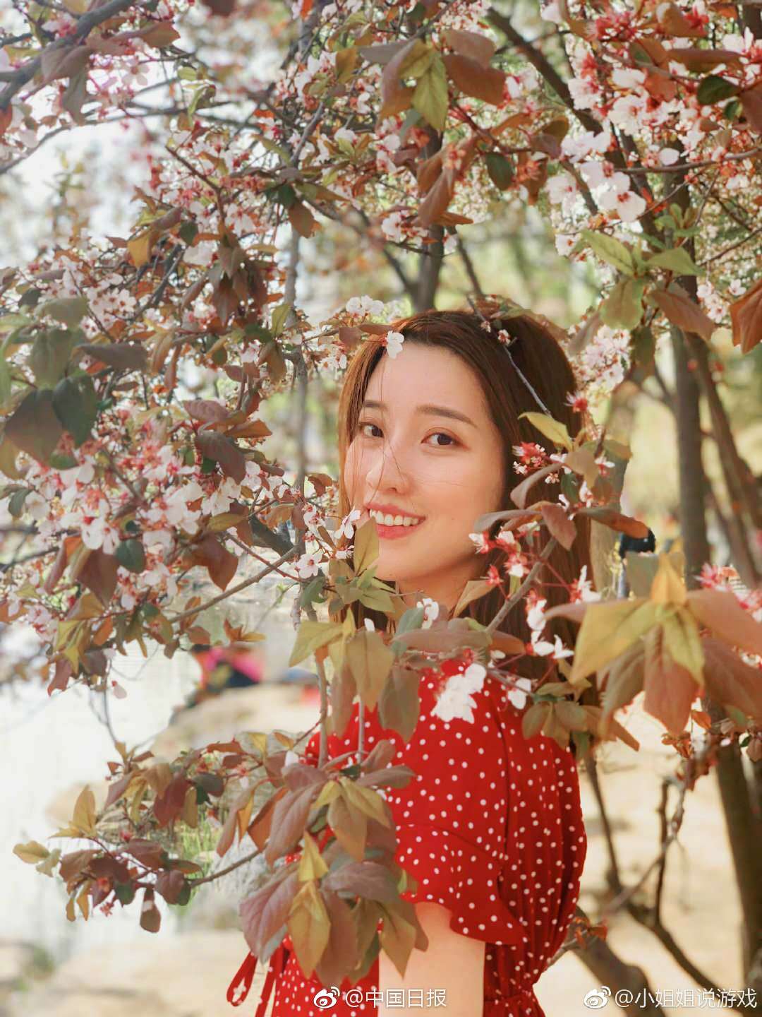 暗语胸推到底是什么?时来运转的隐藏攻略全解析,胸推什哦意思