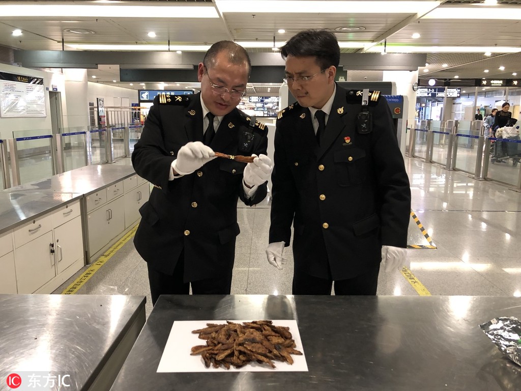 兰州大学城服务 _ 托尼兽医,兰州农大动物医院